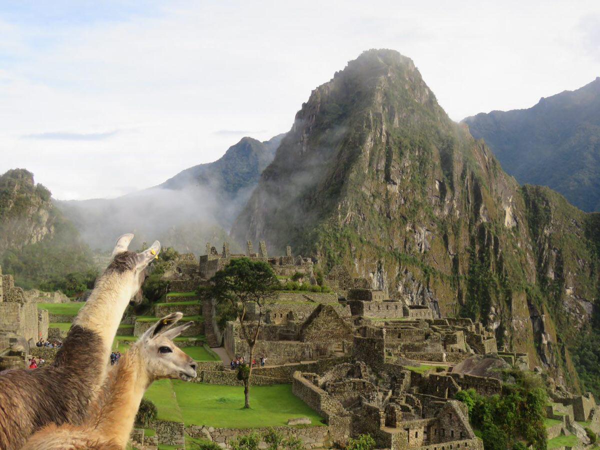 تور پرو، تورپرو، تور ارزان پرو، سفر پرو، سفر به پرو، سفرنامه پرو، جاذبه های گردشگری پرو، ویزای پرو، بهترین زمان سفر به پرو، 